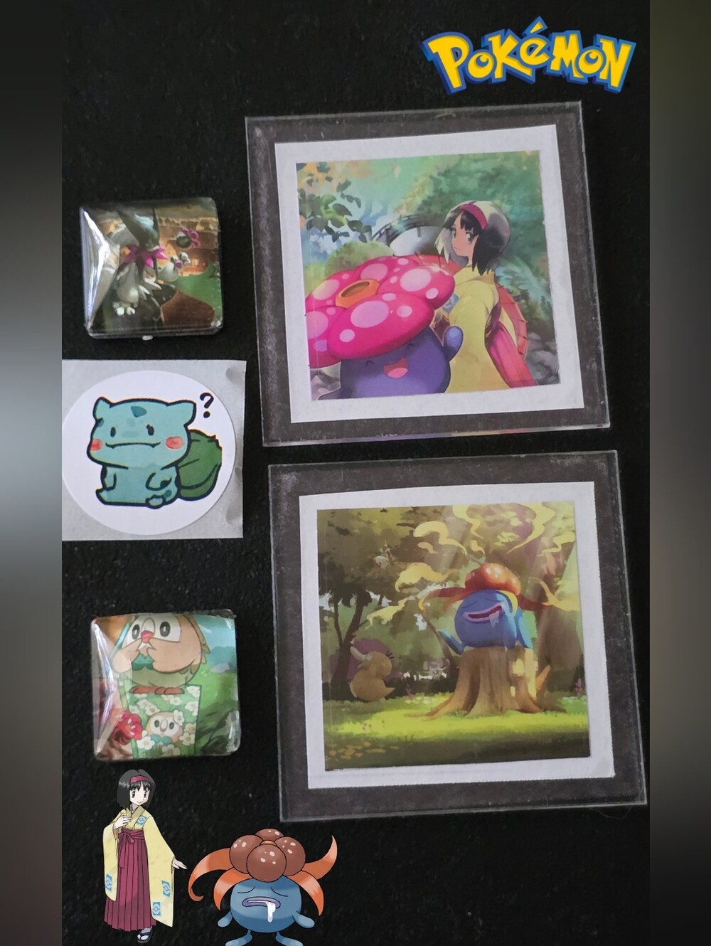 Pokemon Trainer Erika Magnet Set